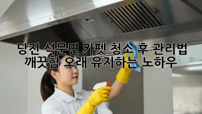 당진 석문면 카펫 청소 후 관리법: 깨끗함 오래 유지하는 노하우