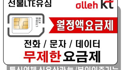 SK망 알뜰폰 요금제 똑똑하게 고르는 법! 꿀팁 대방출🍯